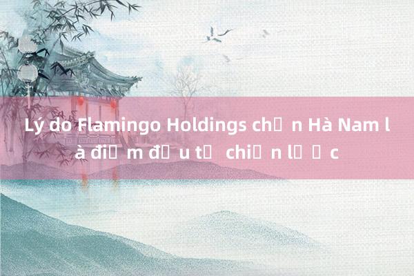 Lý do Flamingo Holdings chọn Hà Nam là điểm đầu tư chiến lược