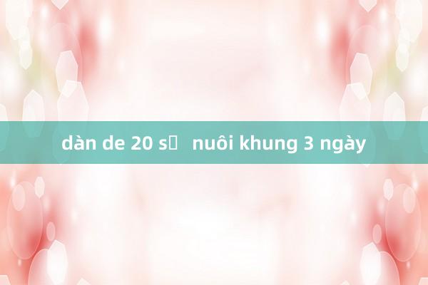 dàn de 20 số nuôi khung 3 ngày