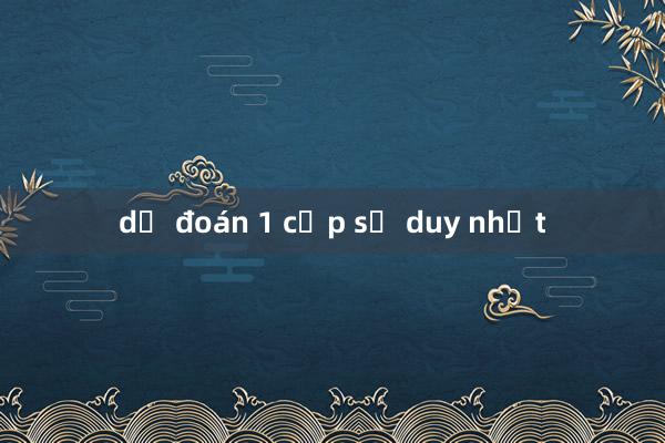 dự đoán 1 cặp số duy nhất