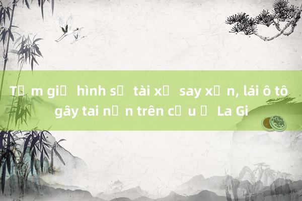 Tạm giữ hình sự tài xế say xỉn， lái ô tô gây tai nạn trên cầu ở La Gi