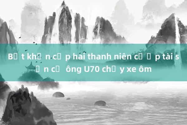 Bắt khẩn cấp hai thanh niên cướp tài sản cụ ông U70 chạy xe ôm