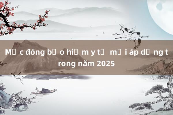 Mức đóng bảo hiểm y tế mới áp dụng trong năm 2025