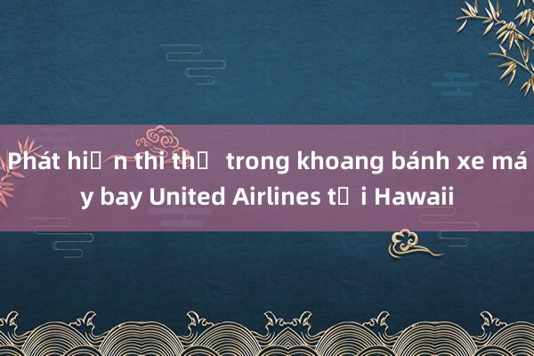 Phát hiện thi thể trong khoang bánh xe máy bay United Airlines tại Hawaii