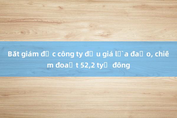 Bắt giám đốc công ty đấu giá lừa đảo， chiếm đoạt 52，2 tỷ đồng